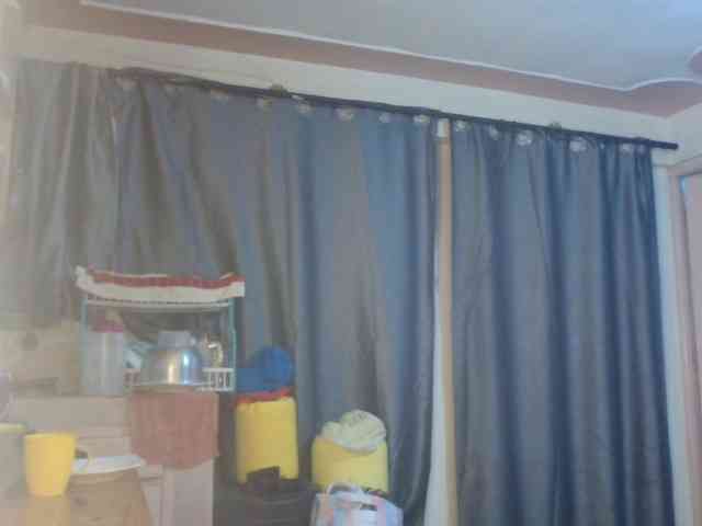 Boughie-birdy webcam