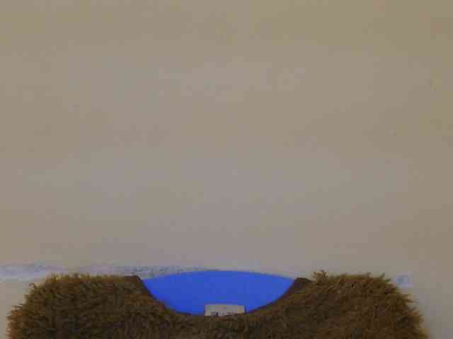 Boughie-birdy