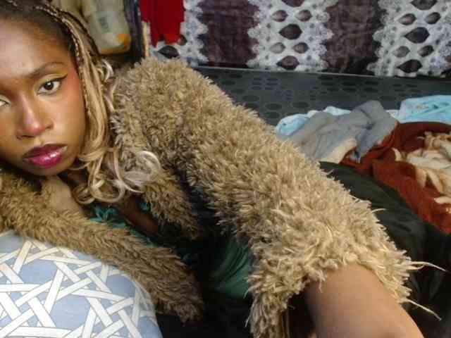 Boughie-birdy webcam