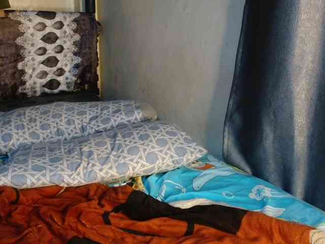 Boughie-birdy webcam