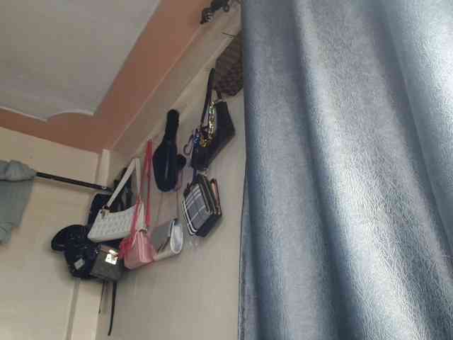 Boughie-birdy webcam