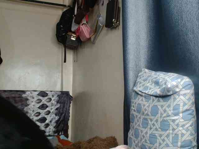Boughie-birdy webcam