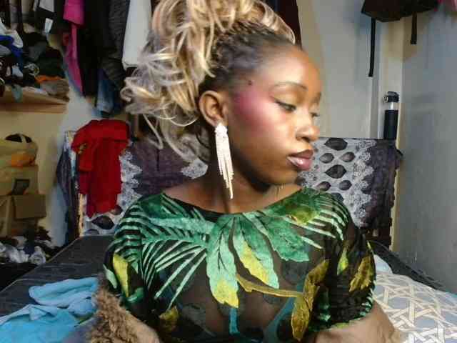 Boughie-birdy webcam