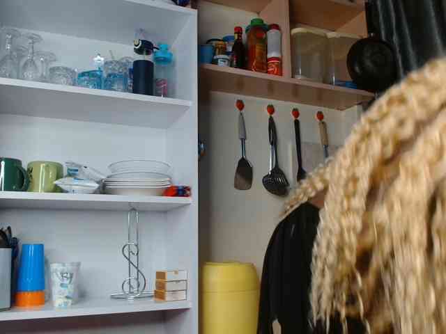 Boughie-birdy webcam