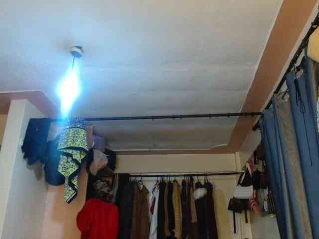 Boughie-birdy webcam