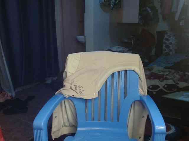 Boughie-birdy webcam