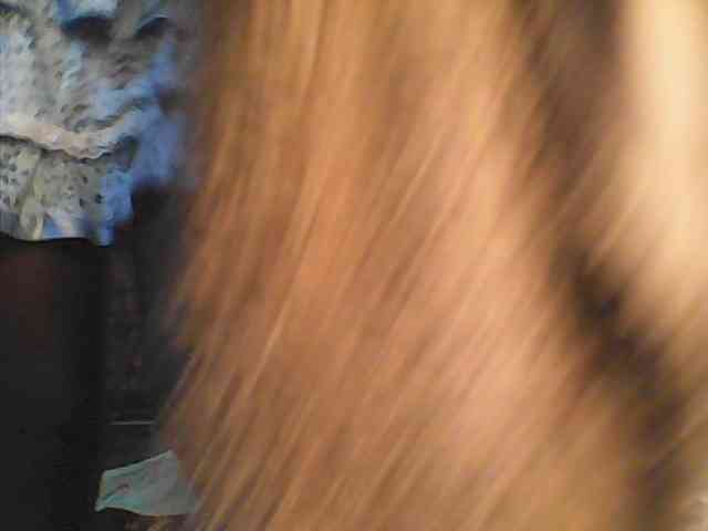 Boughie-birdy webcam