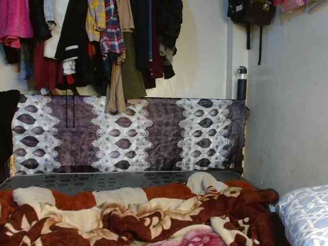 Boughie-birdy webcam