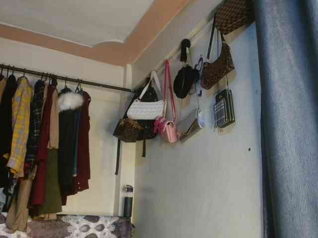 Boughie-birdy webcam