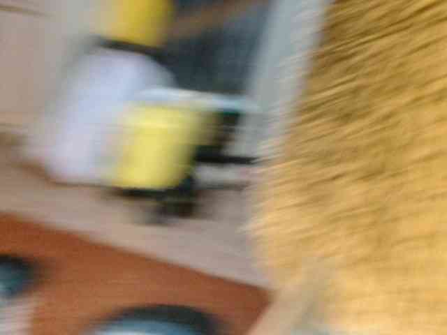 Boughie-birdy webcam