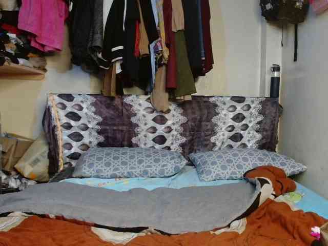 Boughie-birdy webcam