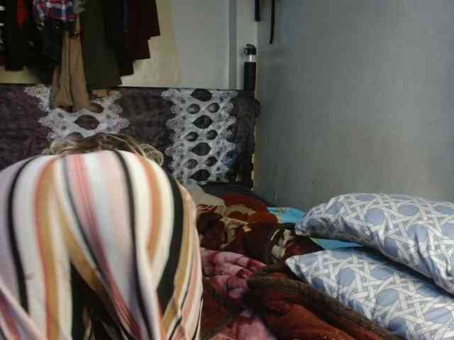 Boughie-birdy webcam