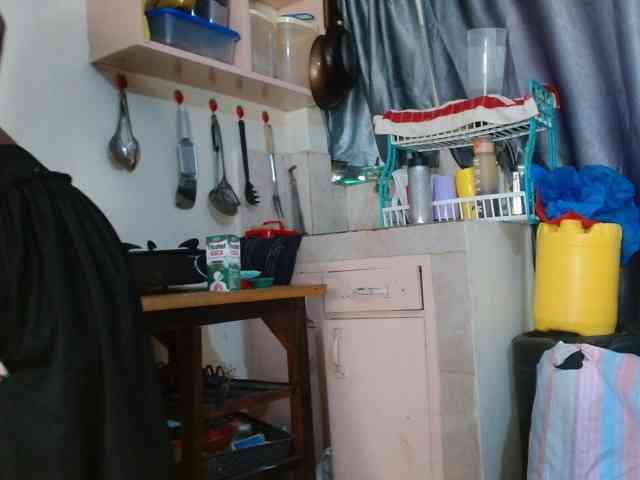 Boughie-birdy webcam