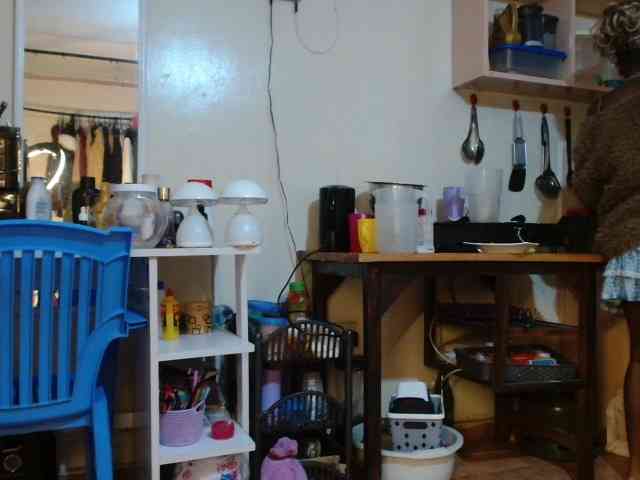 Boughie-birdy webcam