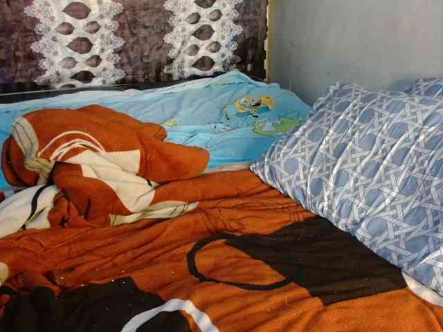 Boughie-birdy webcam