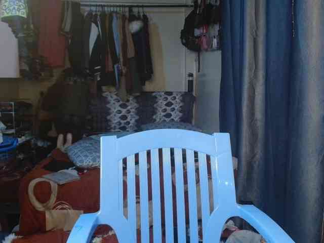 Boughie-birdy webcam