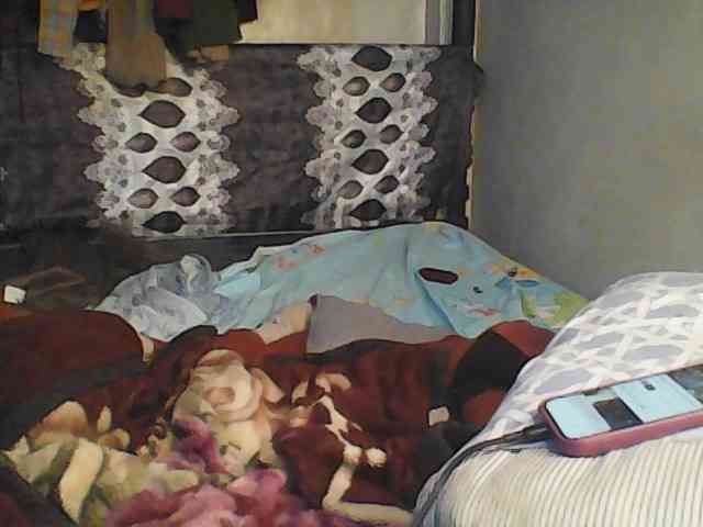 Boughie-birdy webcam