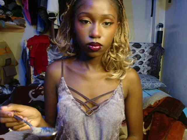 Boughie-birdy webcam