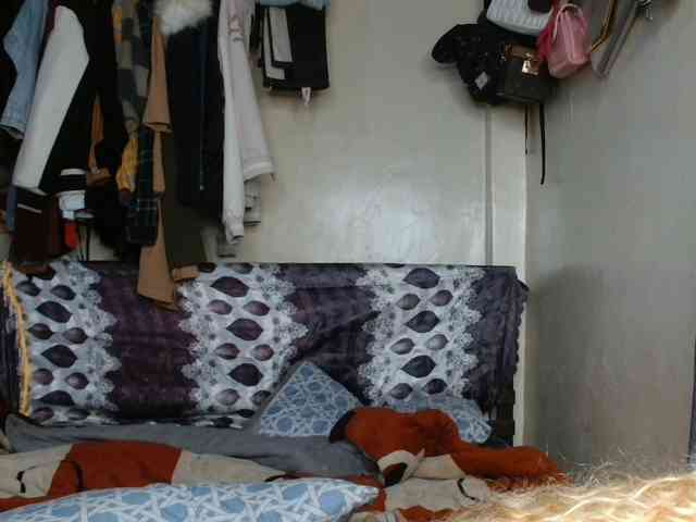 Boughie-birdy webcam