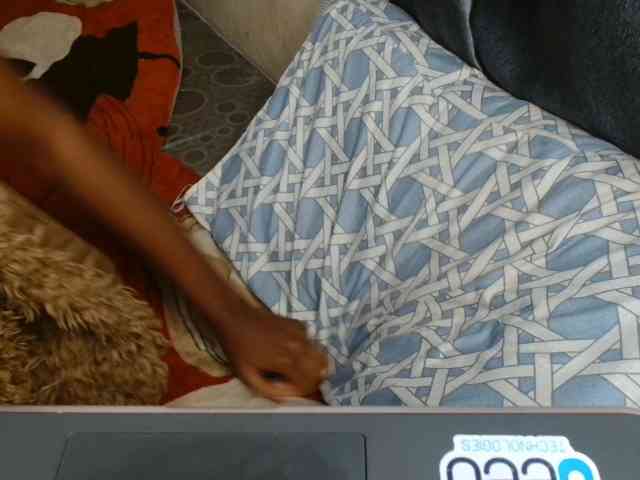 Boughie-birdy webcam