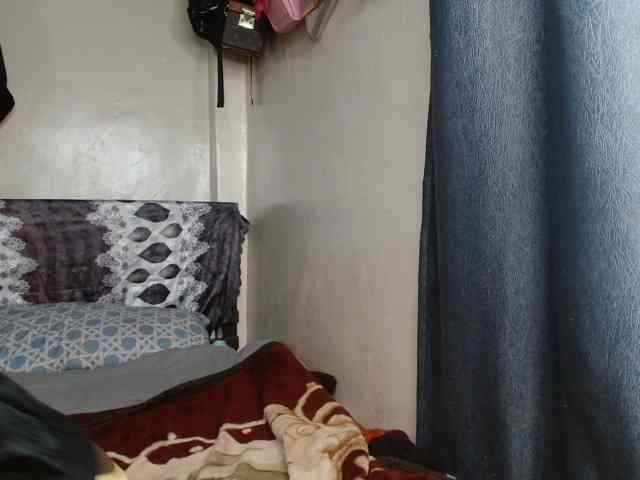 Boughie-birdy webcam