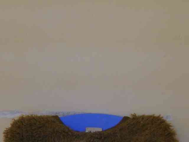 Boughie-birdy