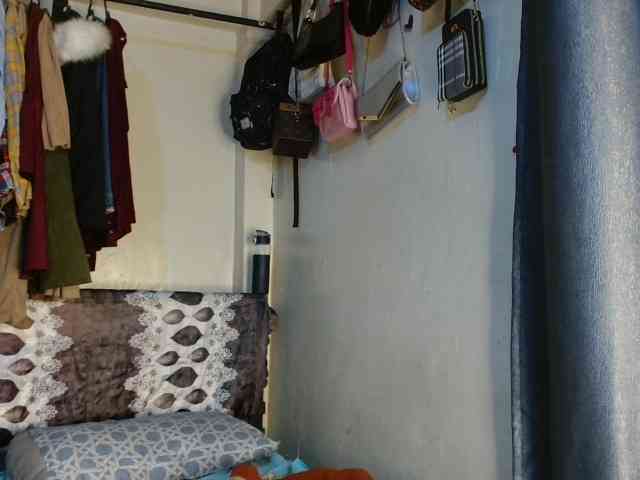 Boughie-birdy webcam
