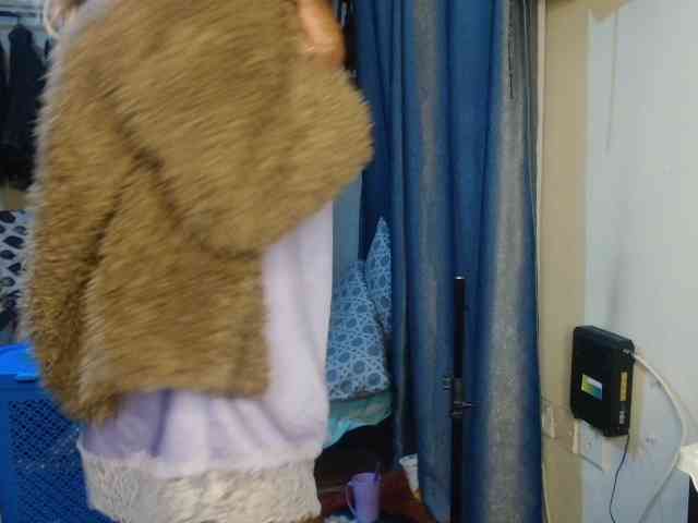 Boughie-birdy webcam
