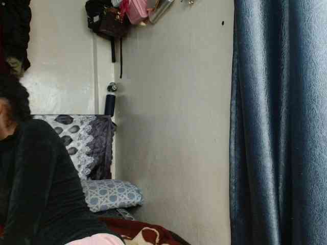 Boughie-birdy webcam
