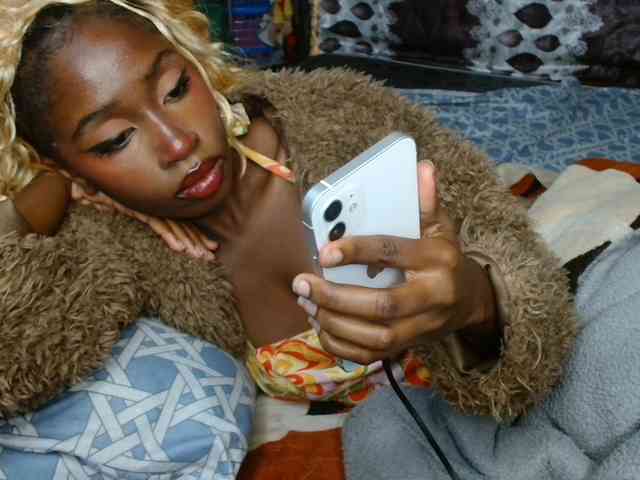 Boughie-birdy webcam