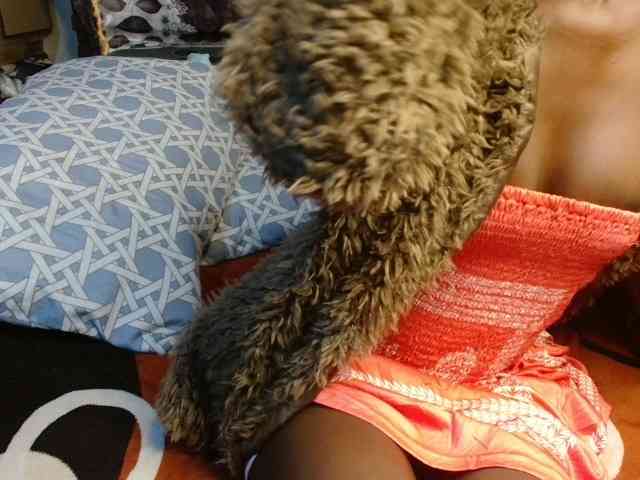 Boughie-birdy webcam