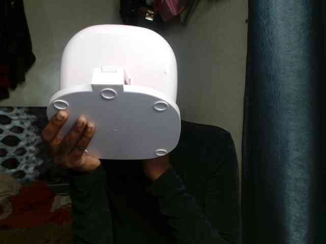 Boughie-birdy webcam