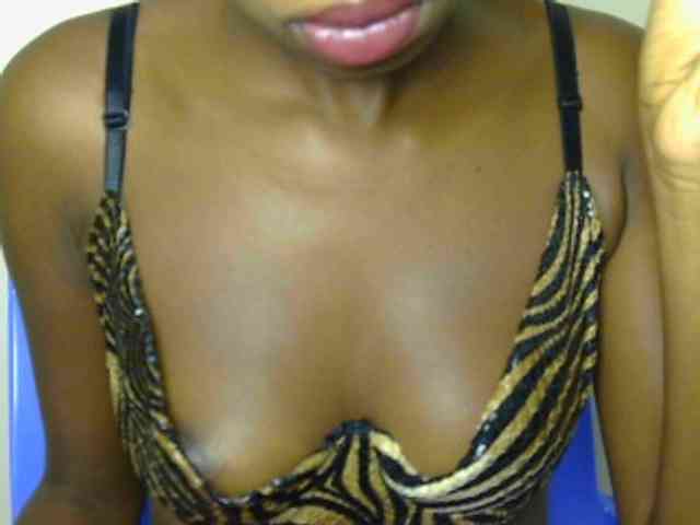 Boughie-birdy webcam