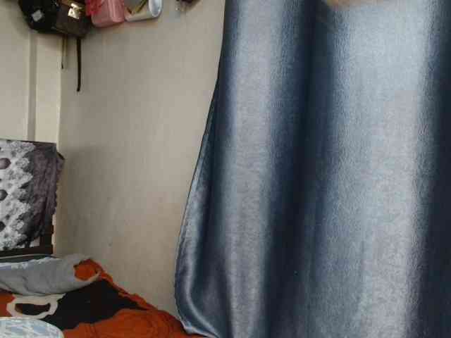 Boughie-birdy webcam