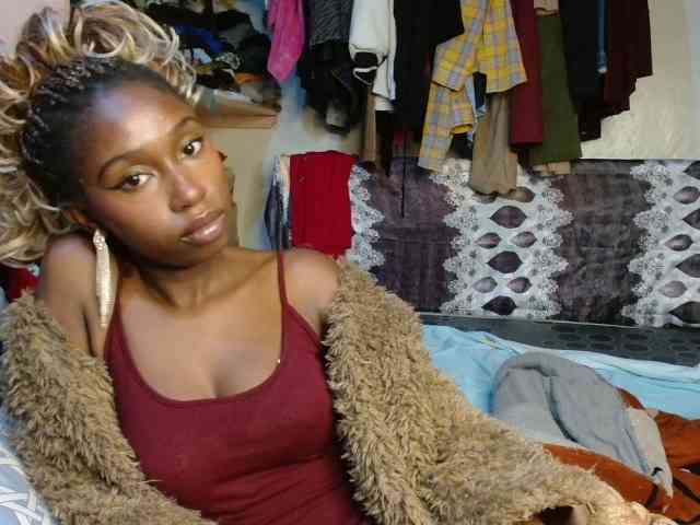 Boughie-birdy webcam