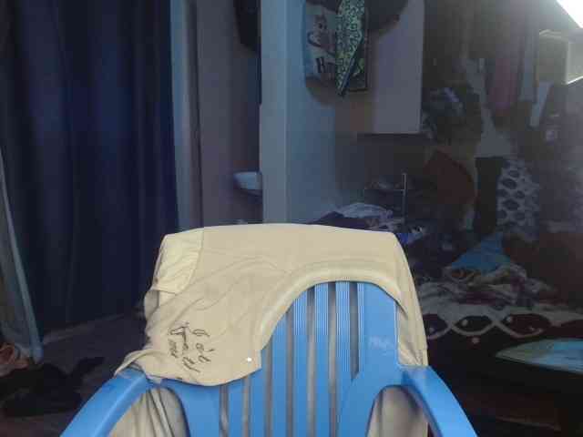 Boughie-birdy webcam