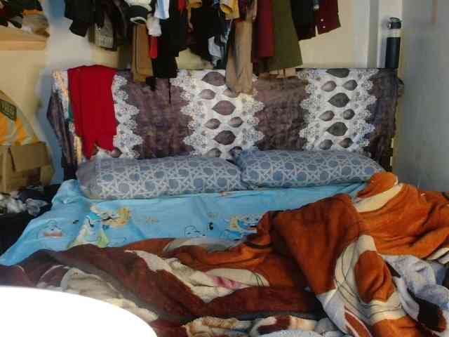 Boughie-birdy webcam