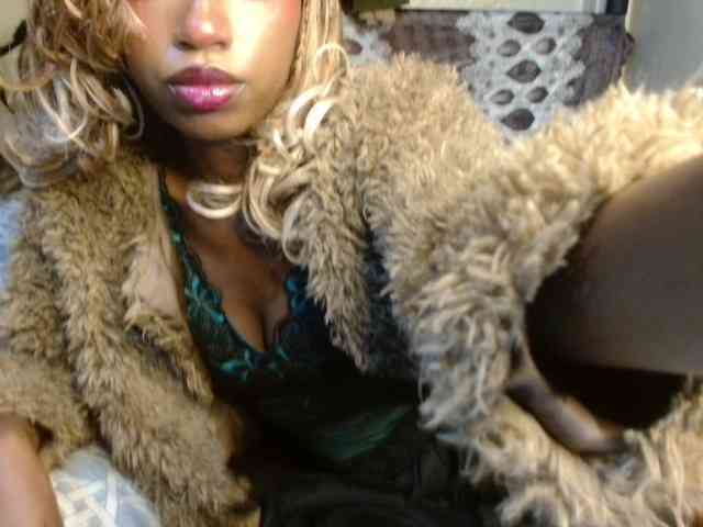 Boughie-birdy webcam