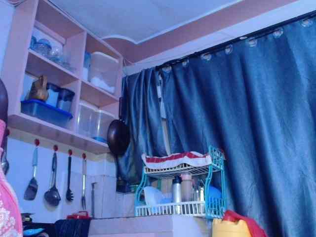 Boughie-birdy webcam