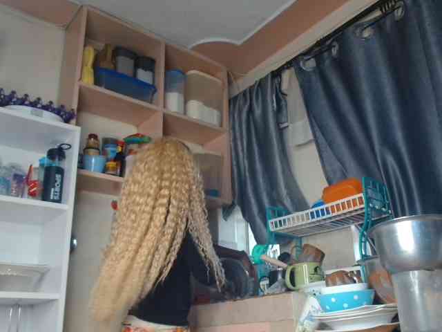 Boughie-birdy webcam