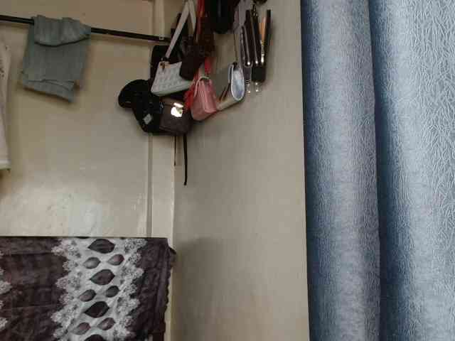 Boughie-birdy webcam
