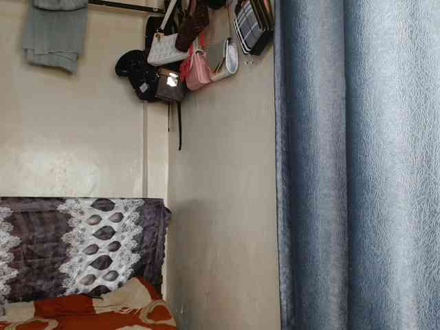 Boughie-birdy webcam
