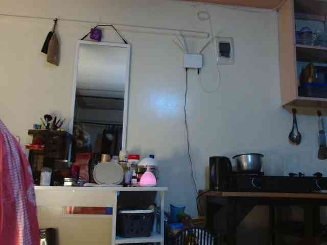 Boughie-birdy webcam