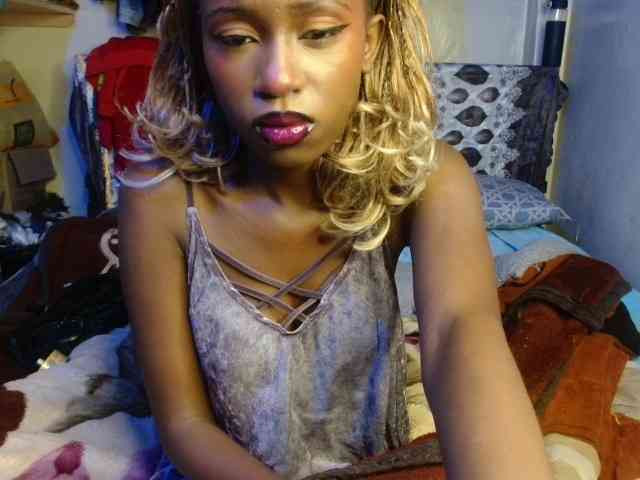 Boughie-birdy webcam