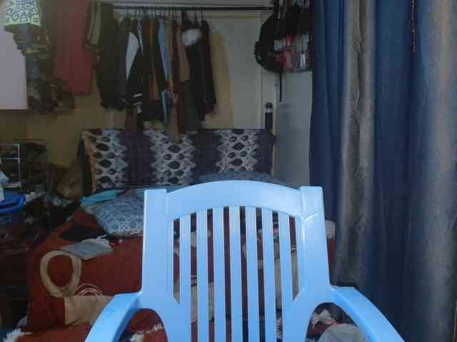 Boughie-birdy webcam