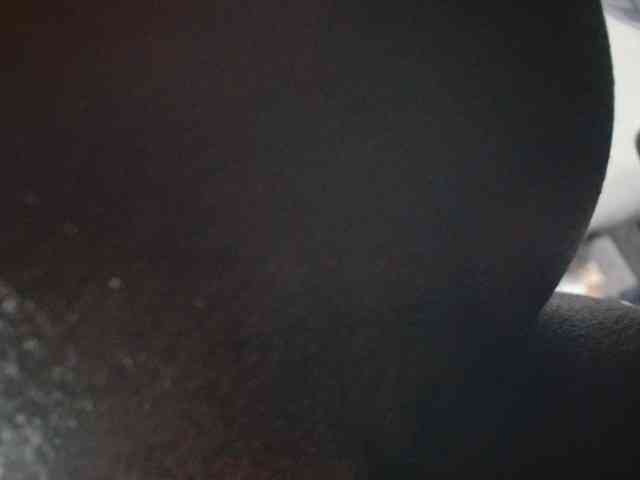 Boughie-birdy webcam