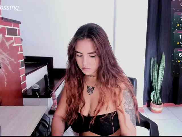 Miacrossing webcam