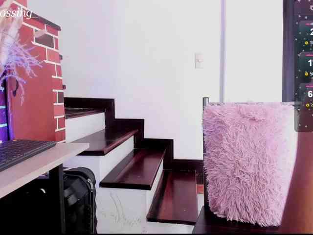 Miacrossing webcam