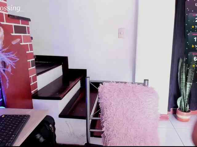 Miacrossing webcam