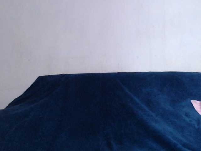 lushtits1 live cam preview